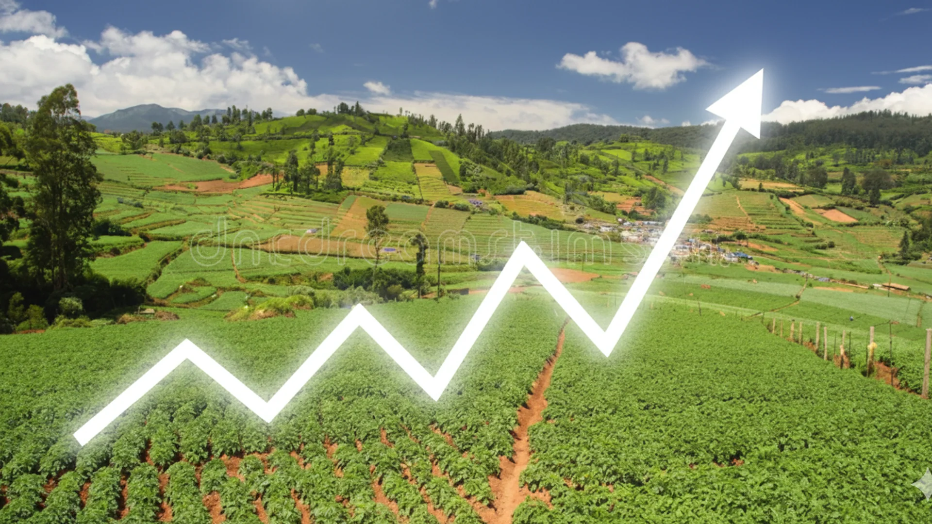 Investment in Farmland Near Bangalore as an Inflation Hedge - Investing Insights