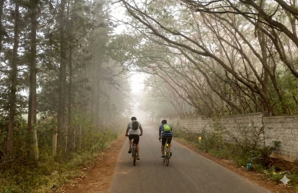 Co-farmers exploring the misty rural hinterlands on community bicycles