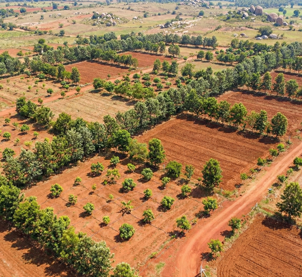 Agricultural land for sale near Bangalore