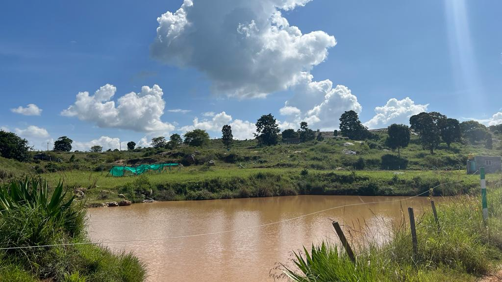 Farmland and pond views near Thalli, Dhenkanikottai - Country Side Farm Retreat area