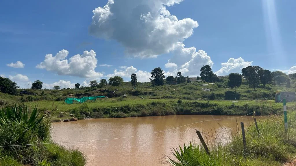 The natural pond at Hilltop Farm Retreat, Thalli — shared water, shared land, photographed on site