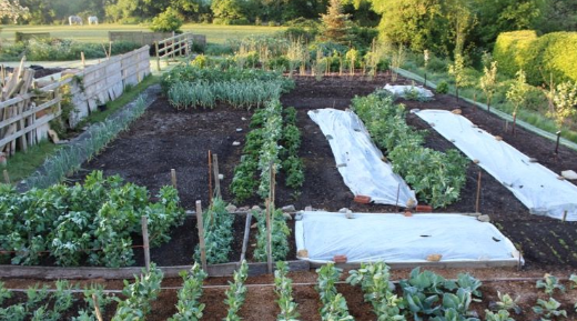 farm plots near bangalore