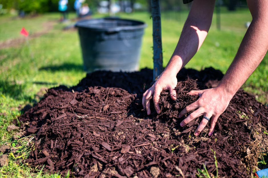 What Are The Benefits Of Mulching